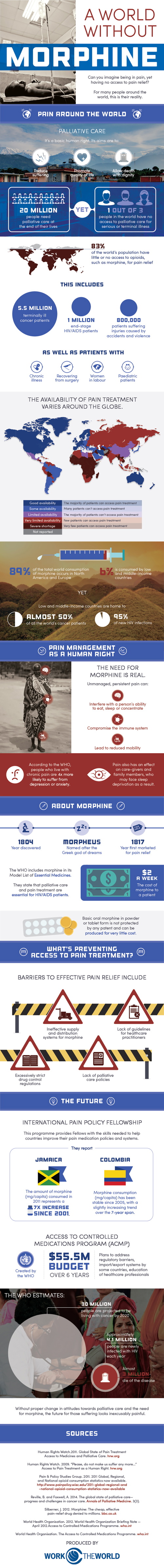 A world without morphine web