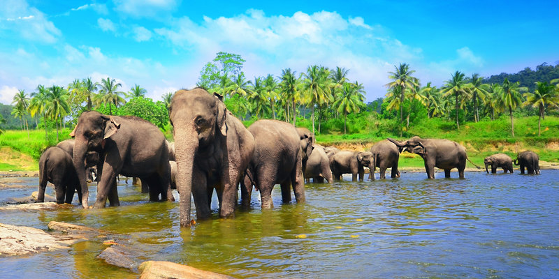 ANURADHAPURA DESTINATION PAGE - header