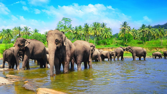 ANURADHAPURA DESTINATION PAGE header