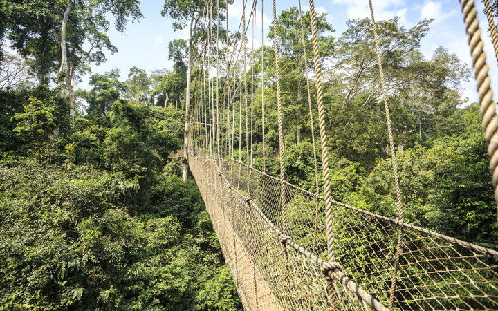 Canopy walkway in Kakum National Park