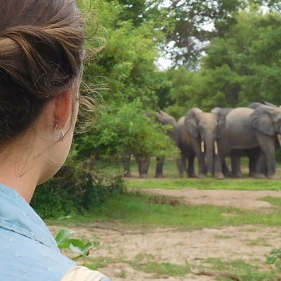 Safari in Ghana geneeskunde stage Ingrid Bugter