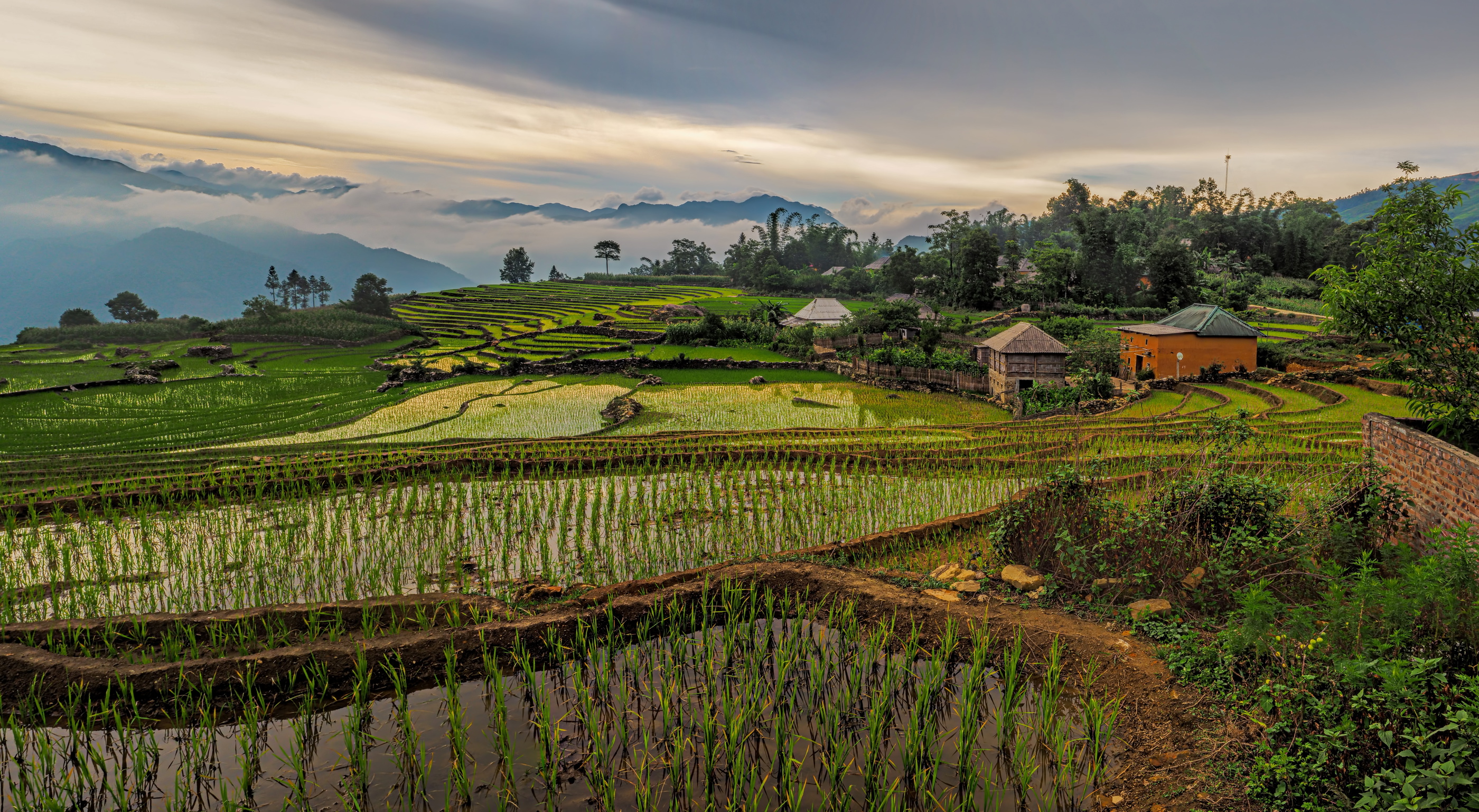 Vietnam 4