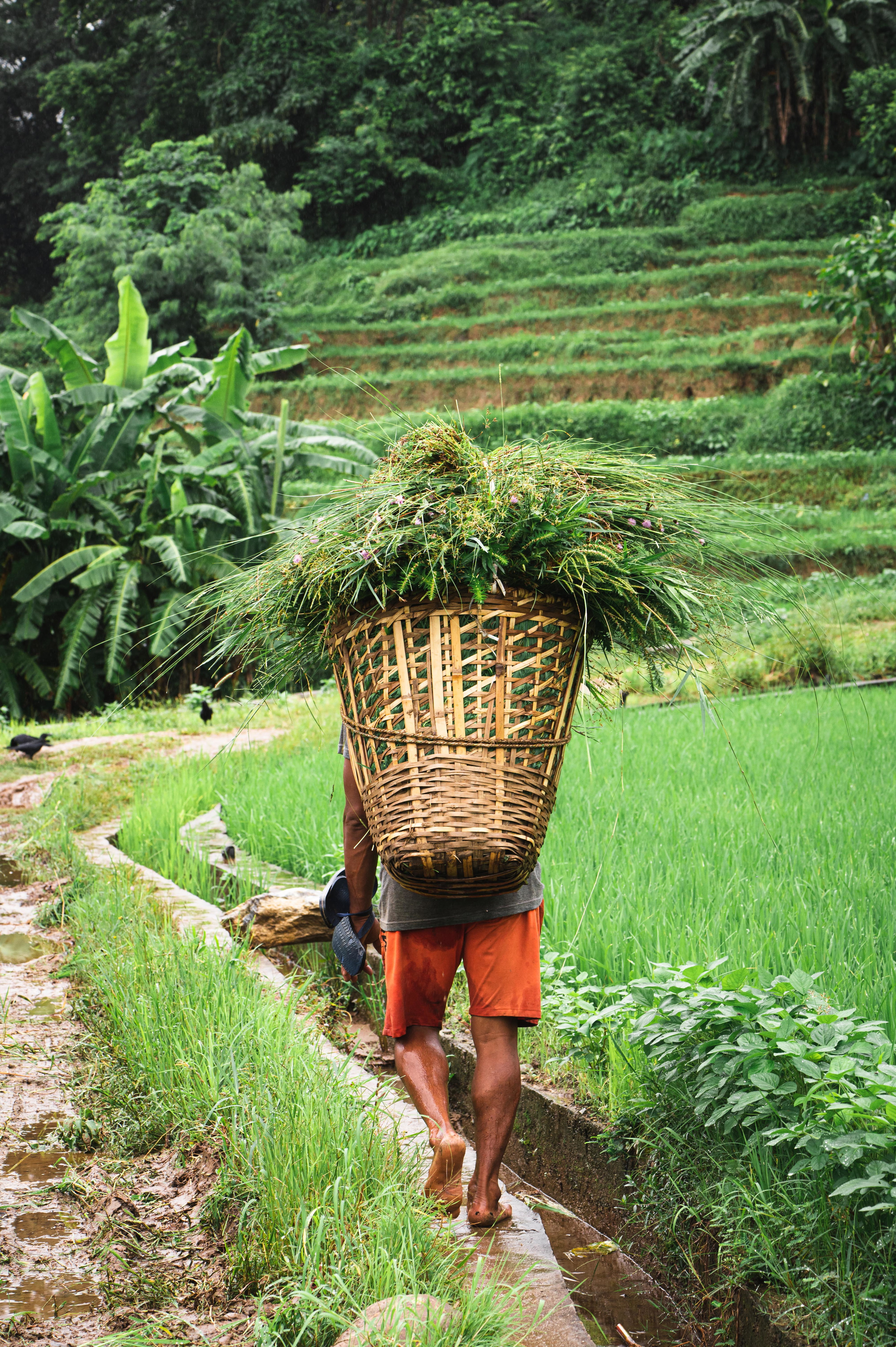 Work the World Nuwakot Aug 2023 8923