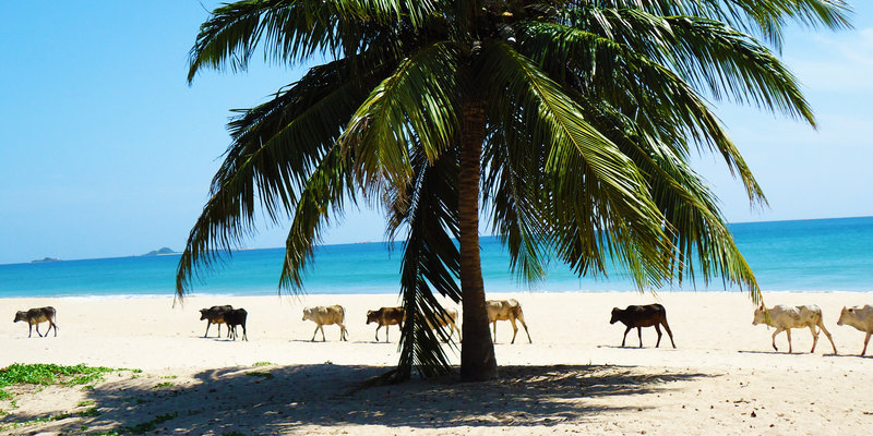 Beaches of southern Sri Lanka