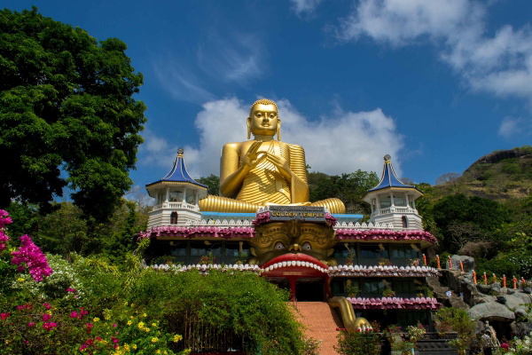 Kandybunnycdnbuddha